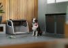 Picture of Inflatable Box for Dogs - Cayenne & Macan