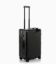 Picture of Roadster Aluminum Trolley M