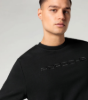 Picture of Unisex Motorsport Pullover Fanwear Collection