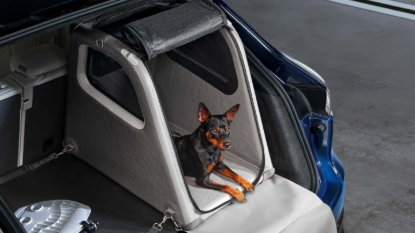 Picture of Inflatable Box for Dogs - Cayenne & Macan